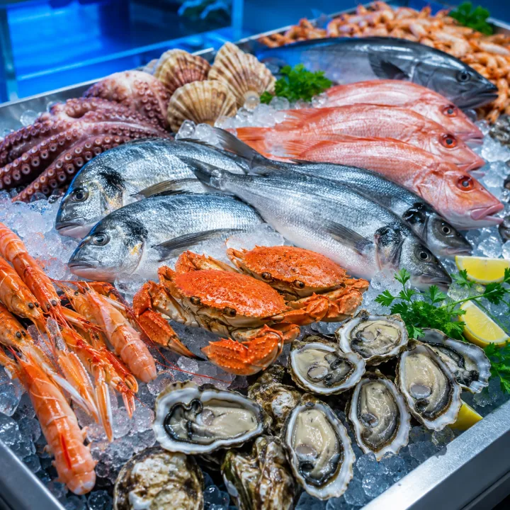 Seafood and fisheries refrigeration
